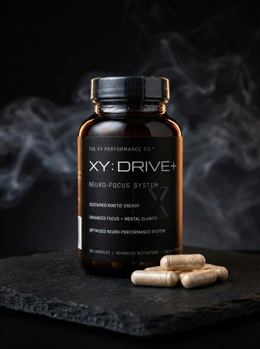 XY DRIVE+